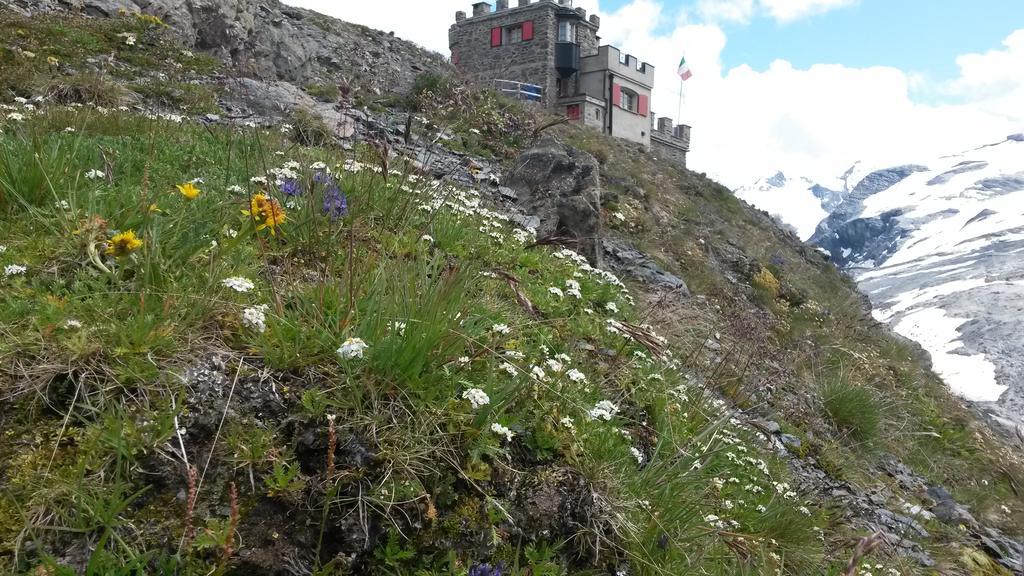 Rifugio Garibaldi Otel Stelvio Geçidi Dış mekan fotoğraf