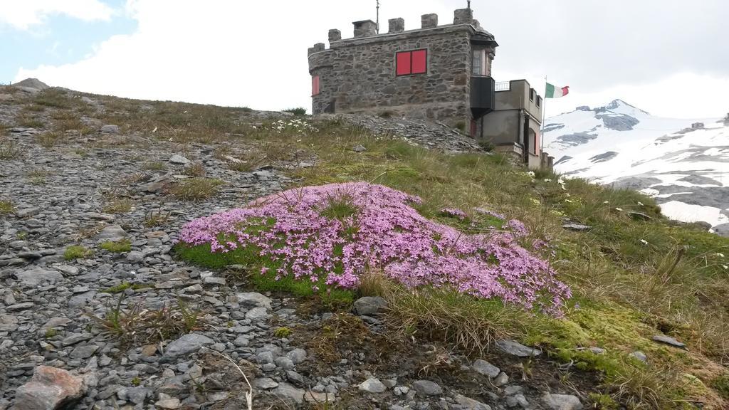 Rifugio Garibaldi Otel Stelvio Geçidi Dış mekan fotoğraf